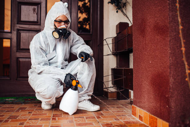 Attic and Crawl Space Rodent Treatment in Donora