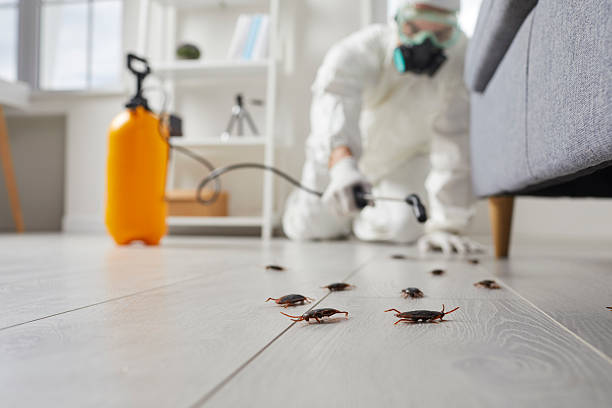 Commercial Rodent Management in Donora
